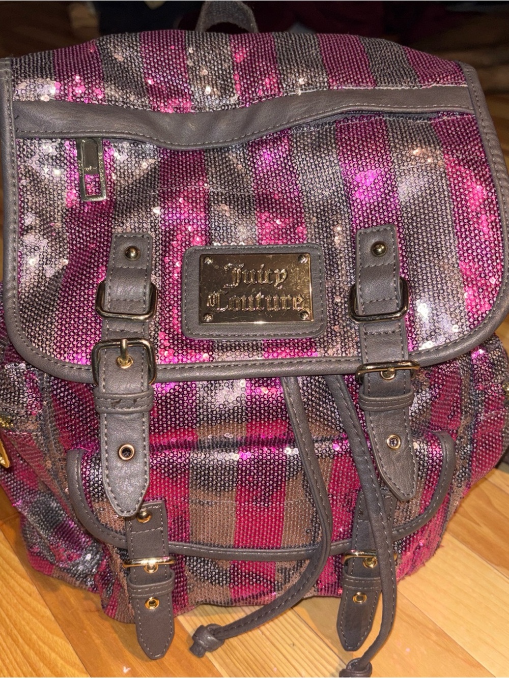 Juicy Couture Pink and Brown Sequin Stripe Backpack with Gold Plaque
